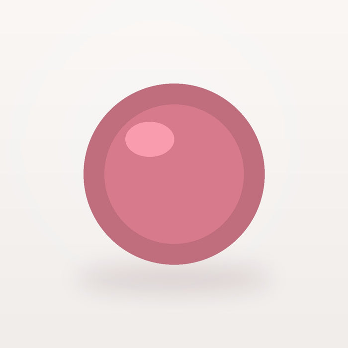 Powder Blush Rose